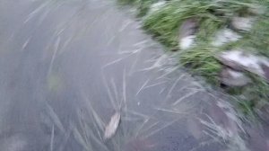 Ребята! гололёд! 1 часть