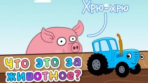 Синий Трактор｜Какие бывают Животные｜Синий Трактор Смотреть | Синий Трактор для малышей смотреть