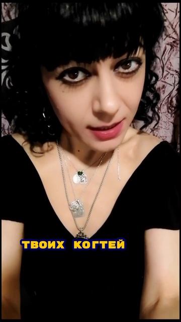 Мой дикий лев - Люсьен Lucien