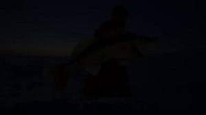 Когда с девушкой на рыбалке всегда клюет!! Первый лед на ОБИ!