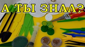 ЭТО нужно КУПИТЬ в ДЕКАБРЕ  ДЛЯ ДАЧИ 📌 Сверяемся со списком📌