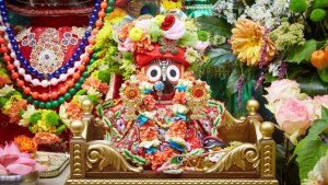 21.12.25 (14:15) - Брахмотсава Патита-паваны Джаганнатхи - Церемония абхишеки