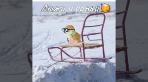 ЁЛКА ПАДОЕТ