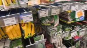 Посетила Лемано про. 21 декабря 25г. Хроника.