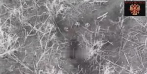 🔴Наш воин взял в плен троих ВСУшников одним дроном🔴