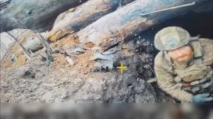 Были да сплыли №50