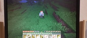 играю в minecraft  java вторая часть