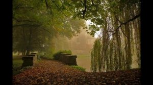 Проходит лето и уже прошло - стихи Виктора Левашова, Ярославль.