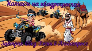 Сафари и обзор питания в Альбатрос Пэлас Шарм