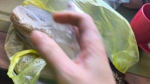 Лилия заболела/Семейные будни.20.12.25