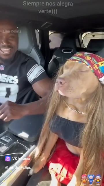 Приколы с животными