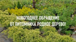 Новогоднее обращение от питомника Родное Дерево!