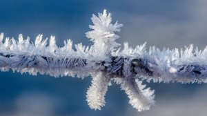 Из-за морозов в Костромской области объявлен режим повышенной готовности