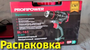 Купил шуруповерт аккумуляторный Profipower BL 161 распаковка и отзывы спустя пол года