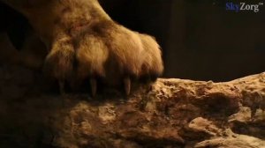 Рок опера Орфей - Герои