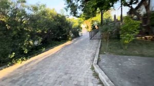 Маленьким Финику и Анфисе «ПО БАРАБАНУ» и львы, и тигры и обезьяны, они любят только нас)