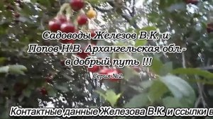 Садовлды Железов В.К. и Попов Н.В. Архангельская обл.- в добрый путь !!! Серия №2.