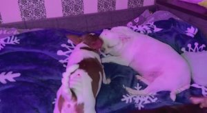 Всем наидобрейшего утречка и легкого понедельника.