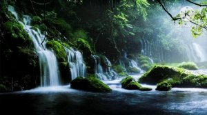 мы родились в Сибири//кривое зеркало//обзор канала