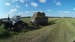 Дорожный сенокос: собираю рулоны с ЮМЗ-6 на узкой дороге