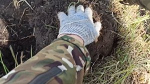 2 копейки Николая II. Коп монет с minelab equinox 900