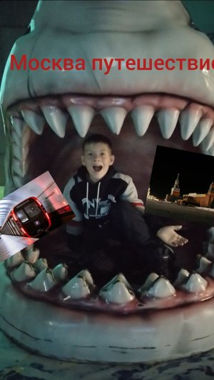 путешествие  по Москве