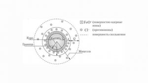 февральская естественно-научная программа сириус