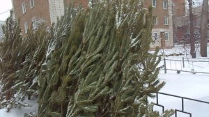 ПОДГОТОВКА К НОВОМУ ГОДУ