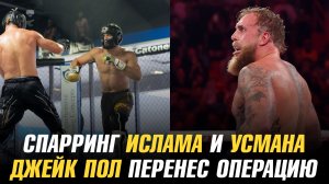 Спарринг Ислама Махачева и Усмана Нурмагомедова / Джейк Пол перенес операцию