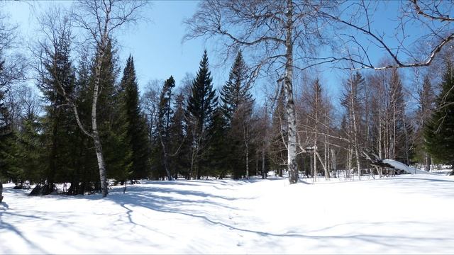 Андрей Дементьев Живу не так, как бы хотелось... Читает Анатолий Алымов смотреть онлайн
