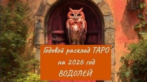 Расклад Таро на 2026 год для знака ВОДОЛЕЙ