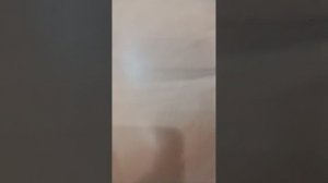 описание нашей квартиры