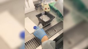 Февральская ЕН смена, проект. Яковлева ЕА