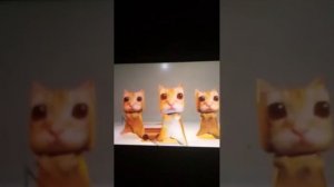 Чипи чипи чапа чапа ель Гато