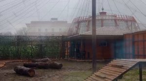 QRET3166 Иван у Шархана 21.12.2025 Шархан интересуется строением дорожки