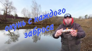Подмосковная речка или раздача по окуню