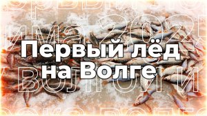 Зимняя рыбалка которая приносит удовольствие. Первый лёд на Волге