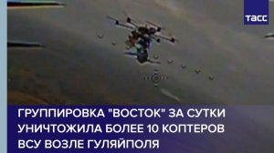 Группировка "Восток" за сутки уничтожила более 10 коптеров ВСУ возле Гуляйполя