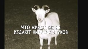 Бабушкин домик «Записи об аномалиях от К.О.Н.Т.У.Р. » №8 ЗАПИСЬ 019