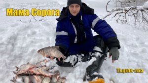 Скажем гохозимью нет! Мама, сорога, шлет всем пламенный привет! Зимняя рыбалка 2021.