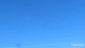 НЕБО НАД ПАСЕКОЙ...