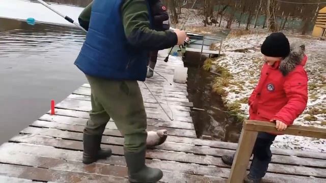 21.12.25 г. РК Волна. смотреть онлайн