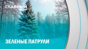 Зелёный патруль. Борьба против незаконной вырубки ёлок в предпраздничные дни. Главный эфир