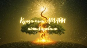 СРОЧНОЕ ПОСЛАНИЕ. Кундалини АМАЙИ активировано. Ченнелинг. #вселенная #кундалини #переход5D