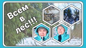 Прогулка по дремучему лесу: природа, приключения и исцеление души.