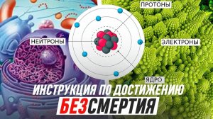 БеЗСмертие  Подарок вам, Друзья Человеки  Световое тело Электрические нейроны  Часть 2 вебинара