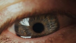 CRAZY TRANSFORMER LENS