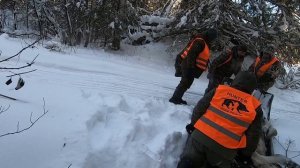 Загонная охота на лося 20.12.2025.