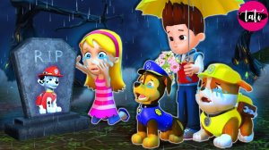 Щенячий патруль и Маршалл. Залипательное видео. Мультфильм для детей и малышей. Анимация