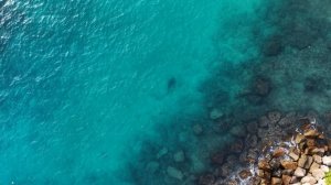 Фувамула декабрь 2025